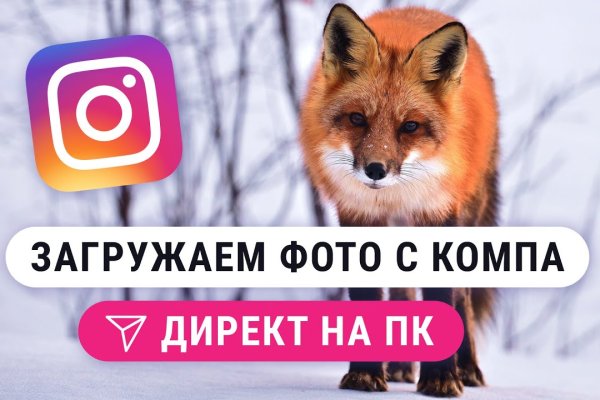 Зайти кракен через тор